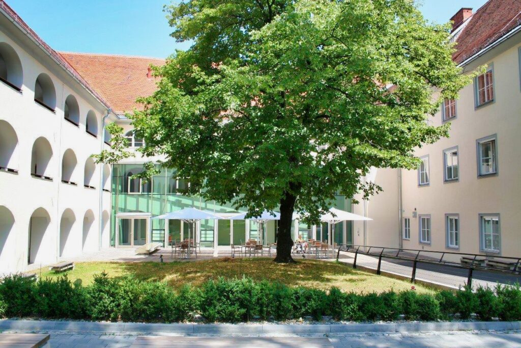 Ein großer grüner Baum steht auf einer Wiese und spendet Schatten für die Tische die darunter stehen. Hinter den Tischen ist ein großes, weißes Gebäude zu sehen.