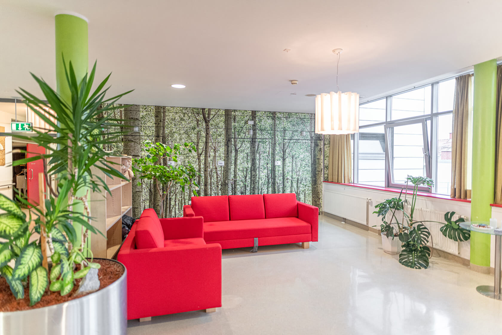 Zwei rote Sofas stehen im 90 Grad Winkel zueinander vor einem Regal und vor einer Wand, die mit einem Birkenwald-Bild tapeziert ist. Sie stehen gegenüber zu großen Fenstern und sind umgeben von Pflanzen