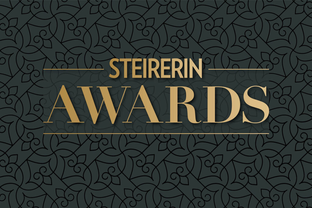 Banner "Steirerin Awards"